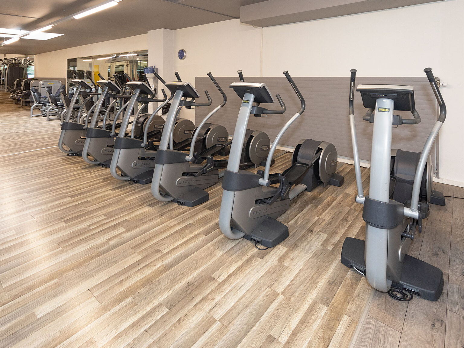Ausdauerbereich Ausdauergeräte Stepper ACTIV FITNESS Studio Carouge Acacias