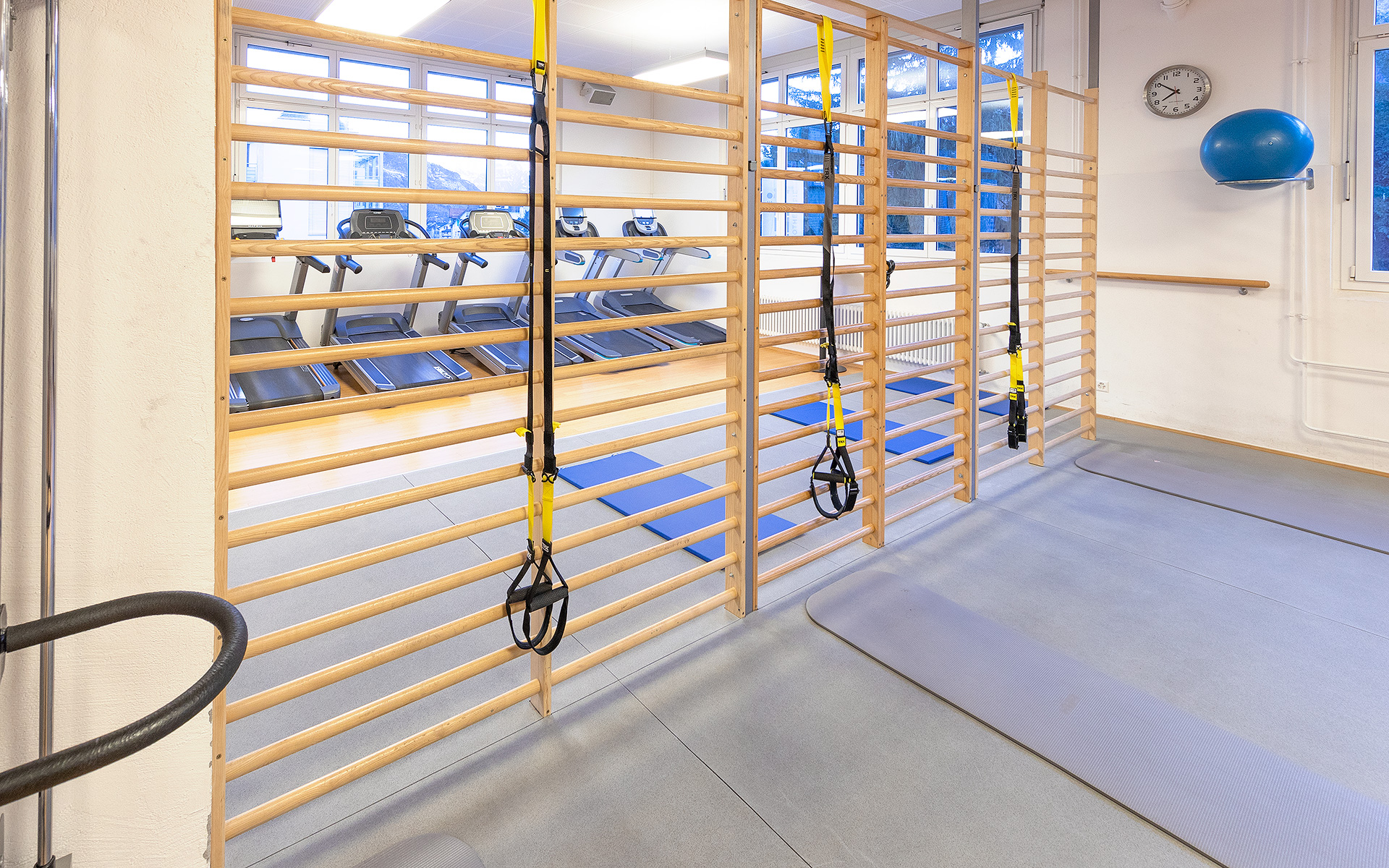 Functionalbereich Sprossenwand TRX Schlingentrainer ACTIV FITNESS Studio Chur
