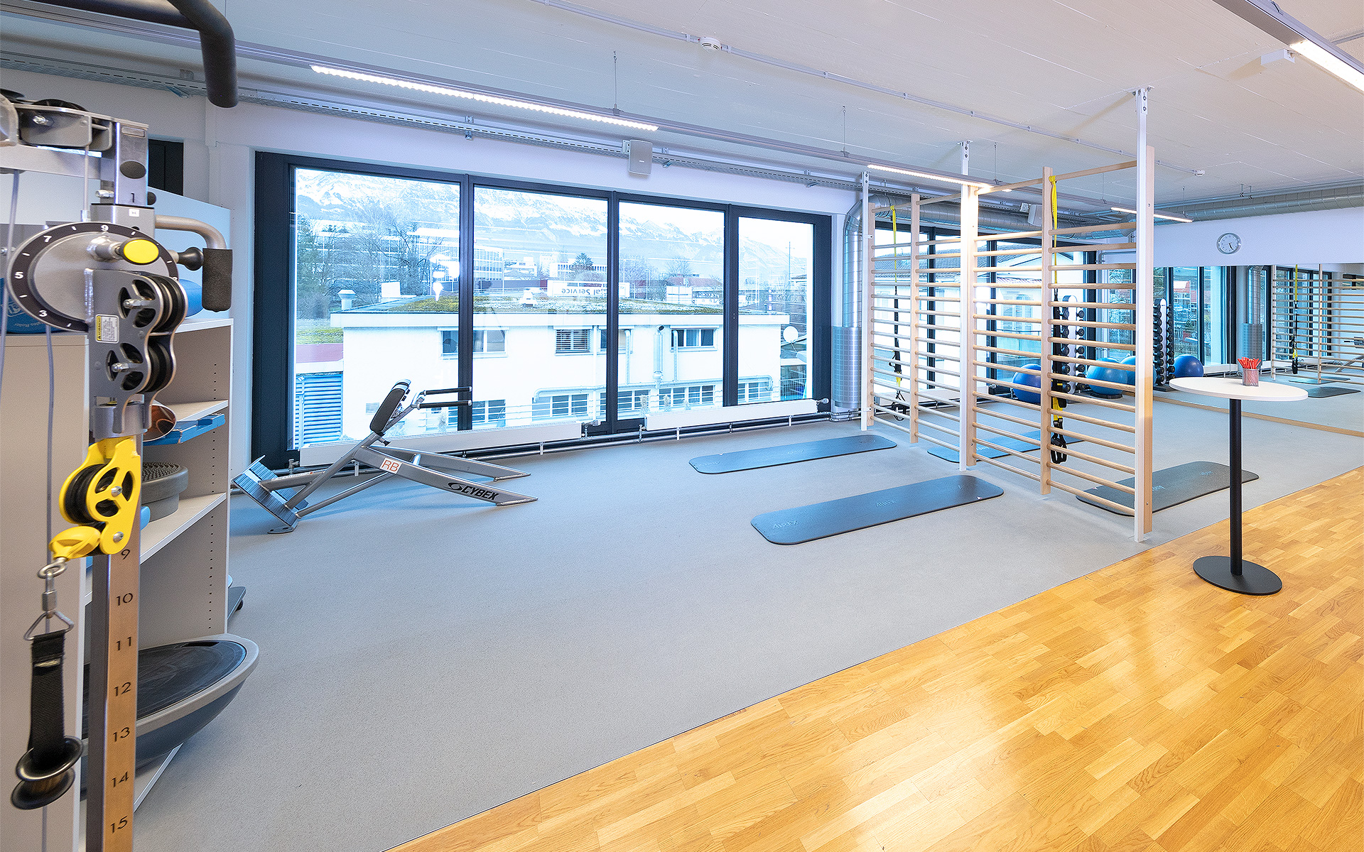 Functional Bereich, Sprossenwand, Kabelzug, ACTIV FITNESS Studio Buchs