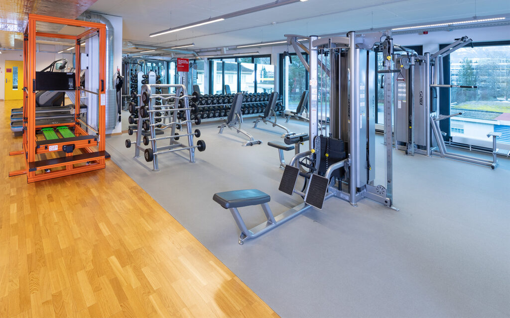 Kraftbereich Sensopro, Kabelzug Kurzhanteln, SZ-Hanteln ACTIV FITNESS Studio Buchs