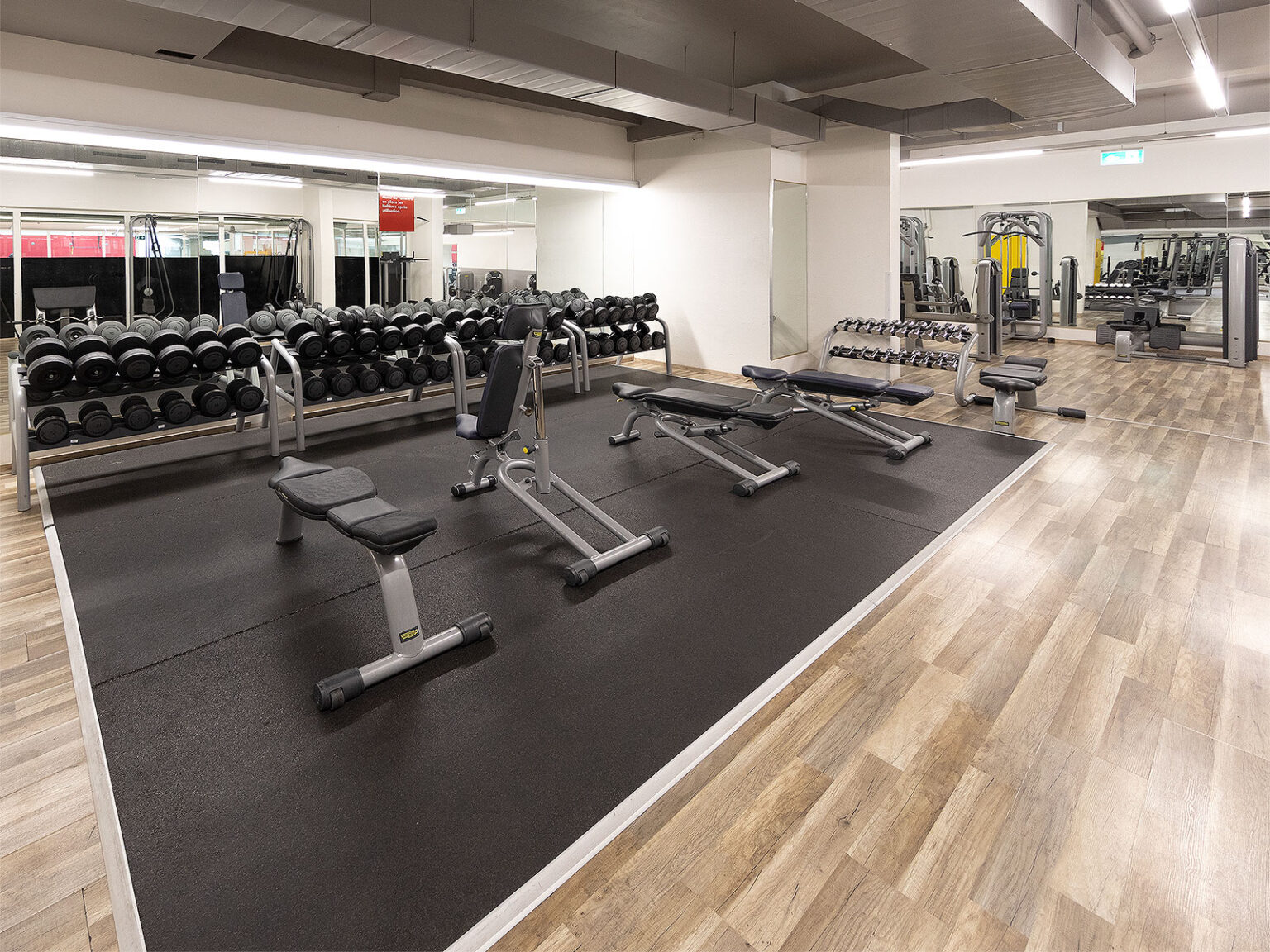 Freihantelbereich Kurzhanteln ACTIV FITNESS Carouge Acacias