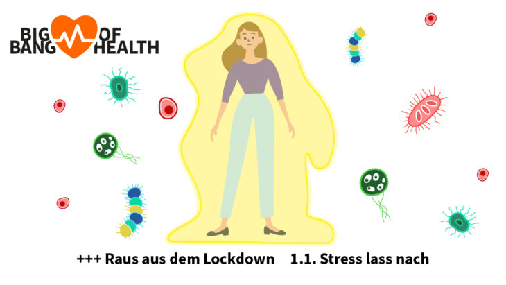 Art. 1.1 Big Bang of Health Activ Fitness Stress