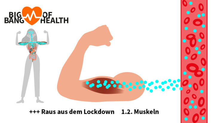 Art. 1.2 Big Bang of Health Artikelserie