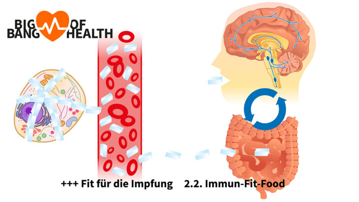 Art. 2.2 Big Bang of Health Activ Fitness