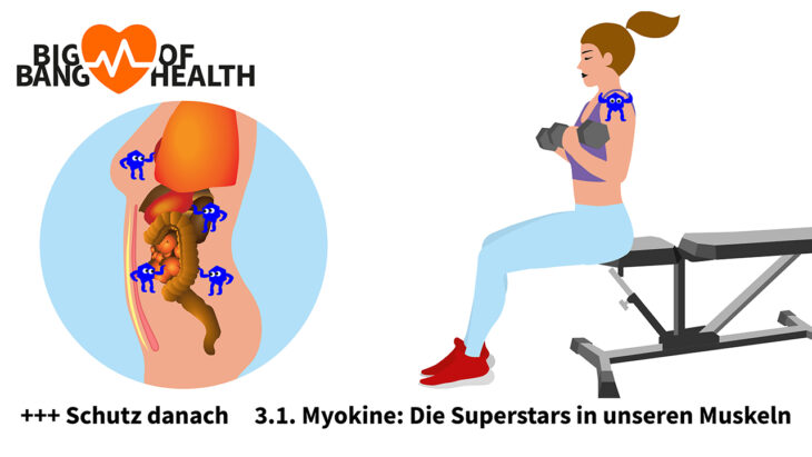 Art. 3.1 Big Bang of Health Activ Fitness